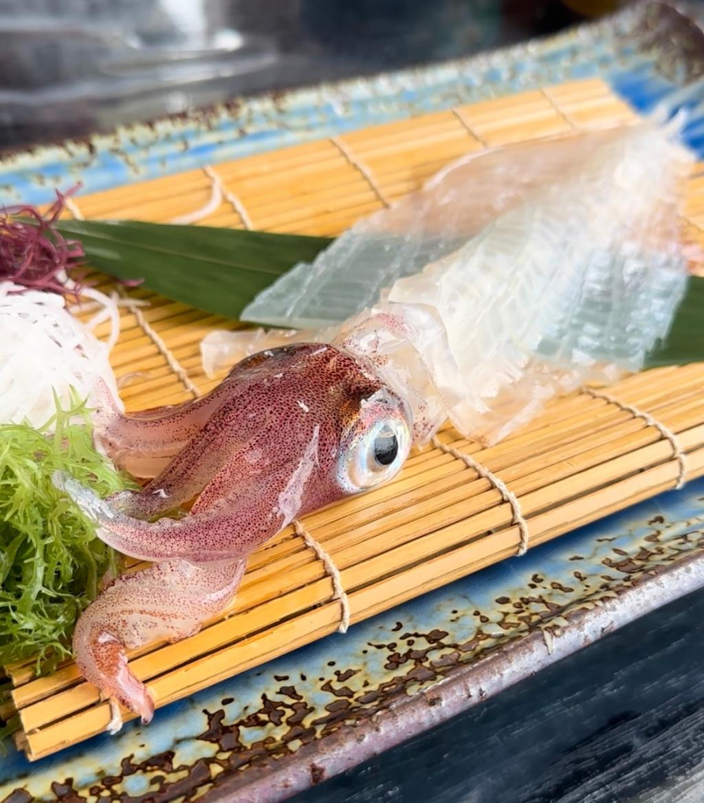 呼子のイカ🦑