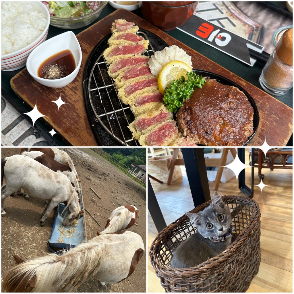 ⚡EV女子旅⚡