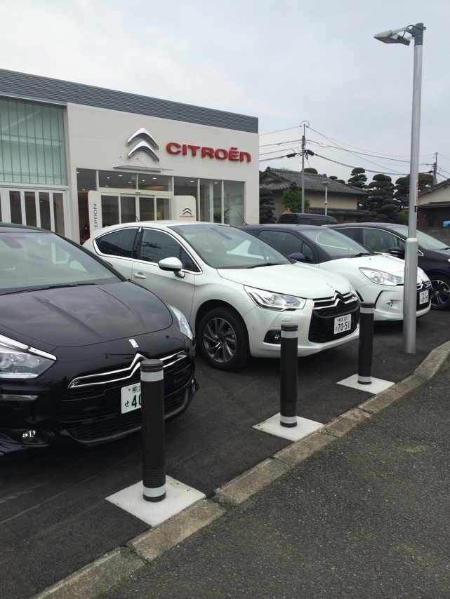 変化が多い春！