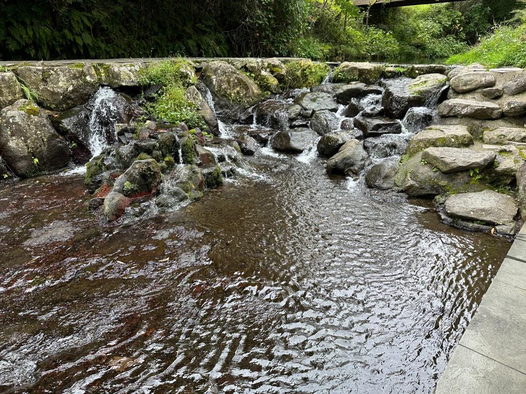 水源巡り