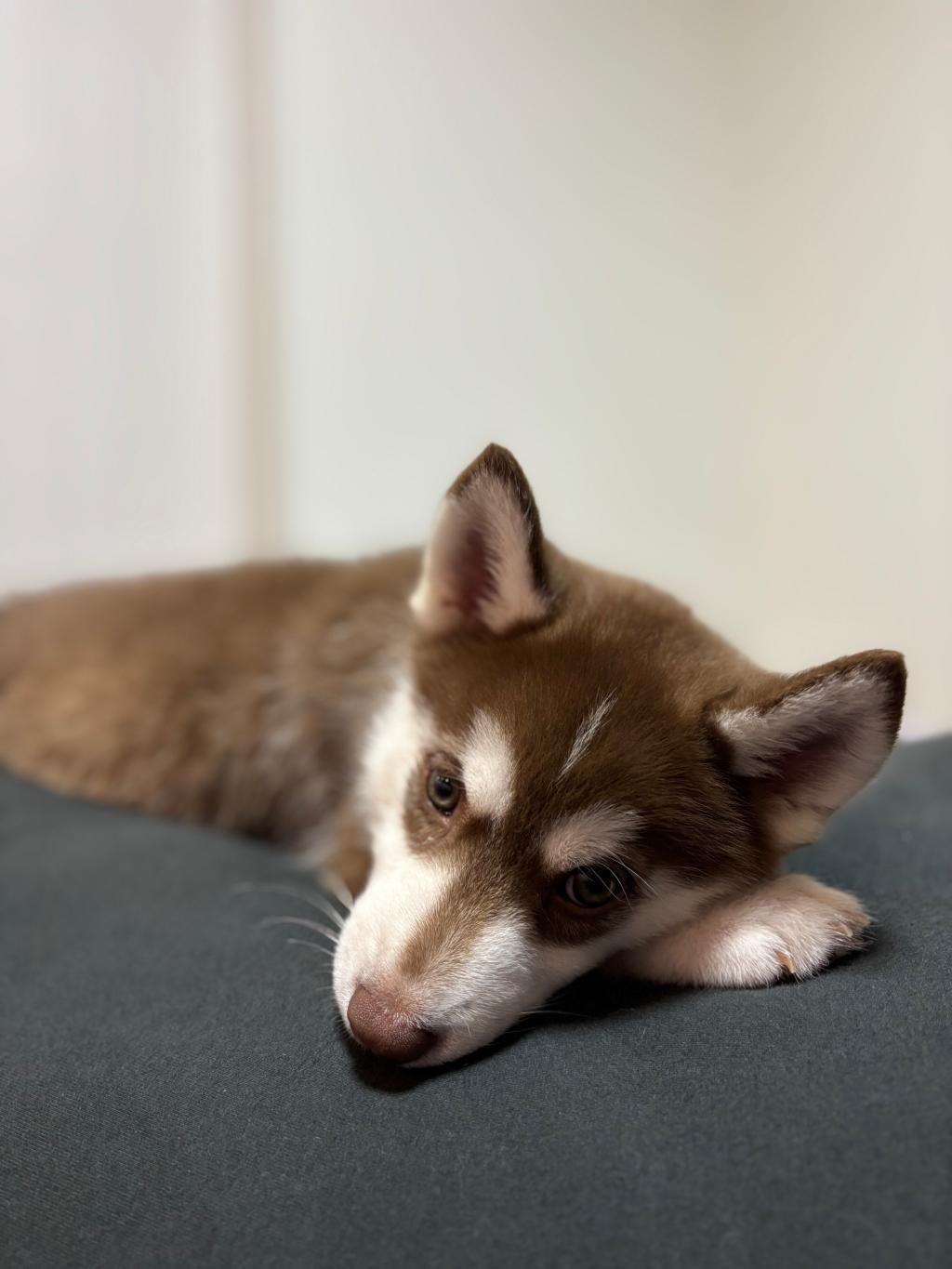 成長しました☺