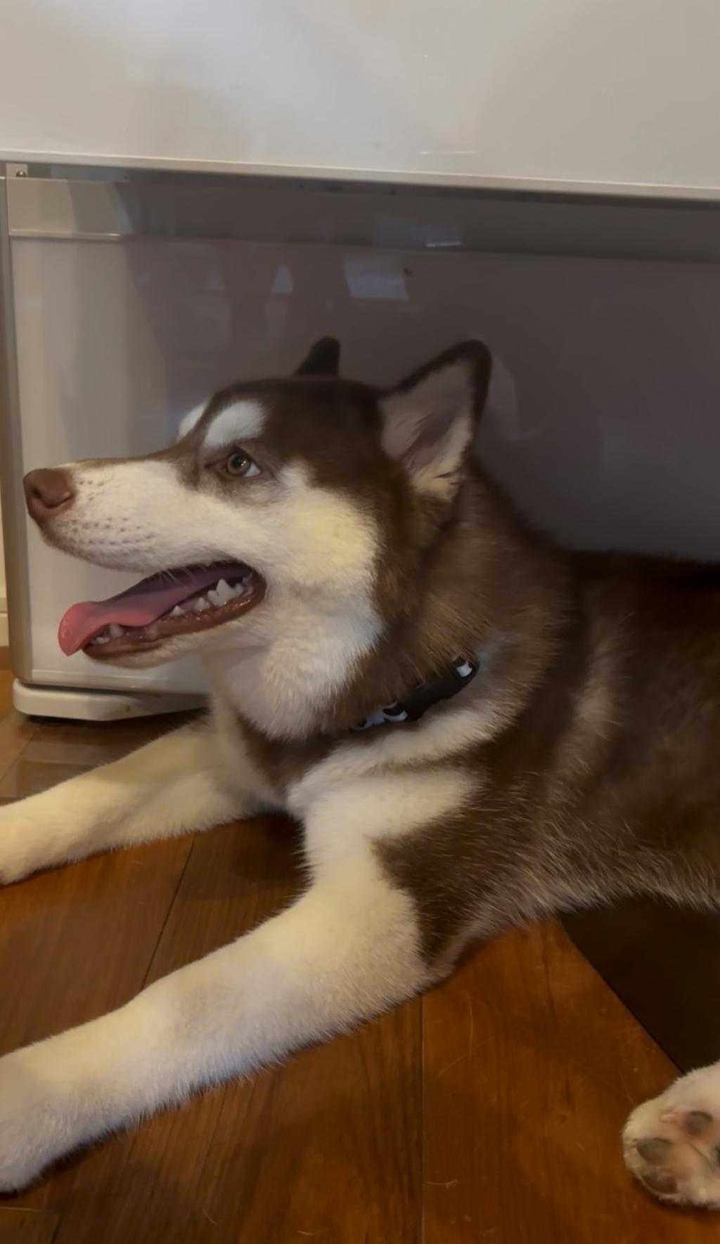 成長しました☺