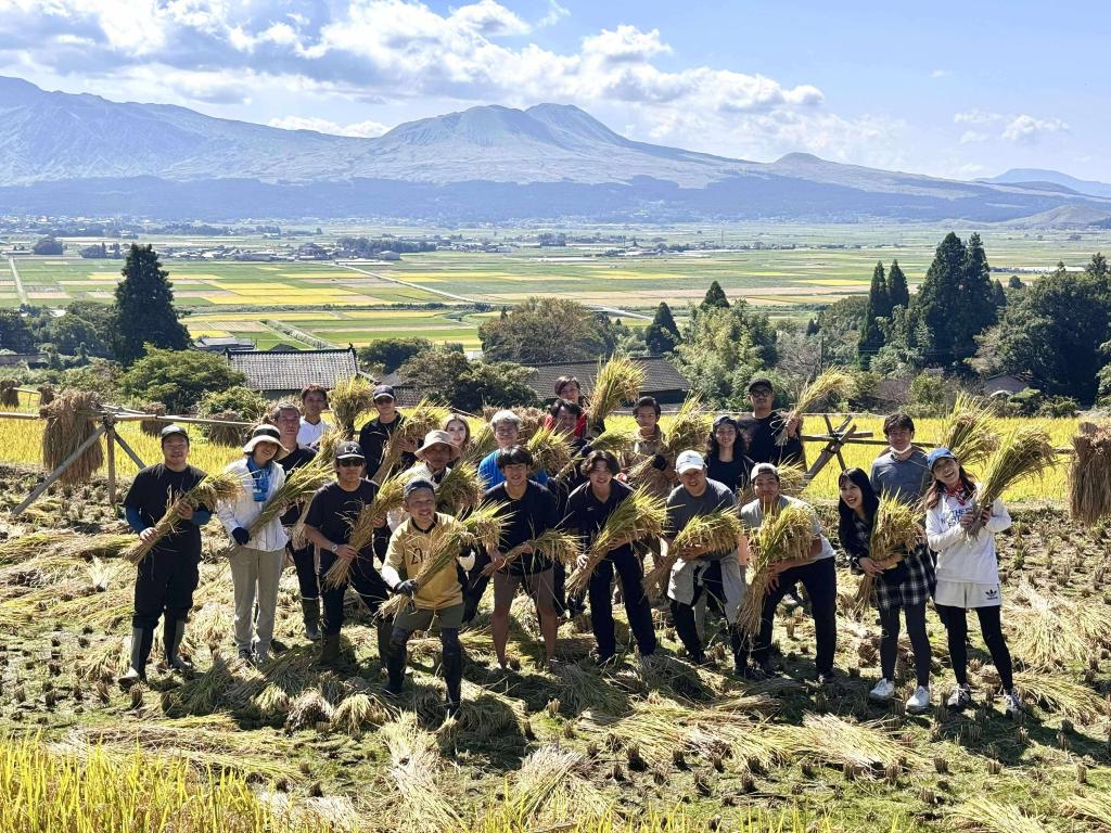 阿蘇で稲刈りしました！