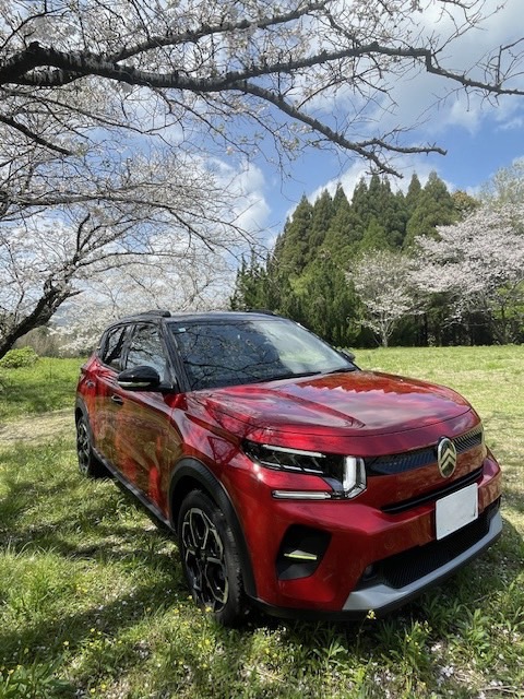 ～桜～