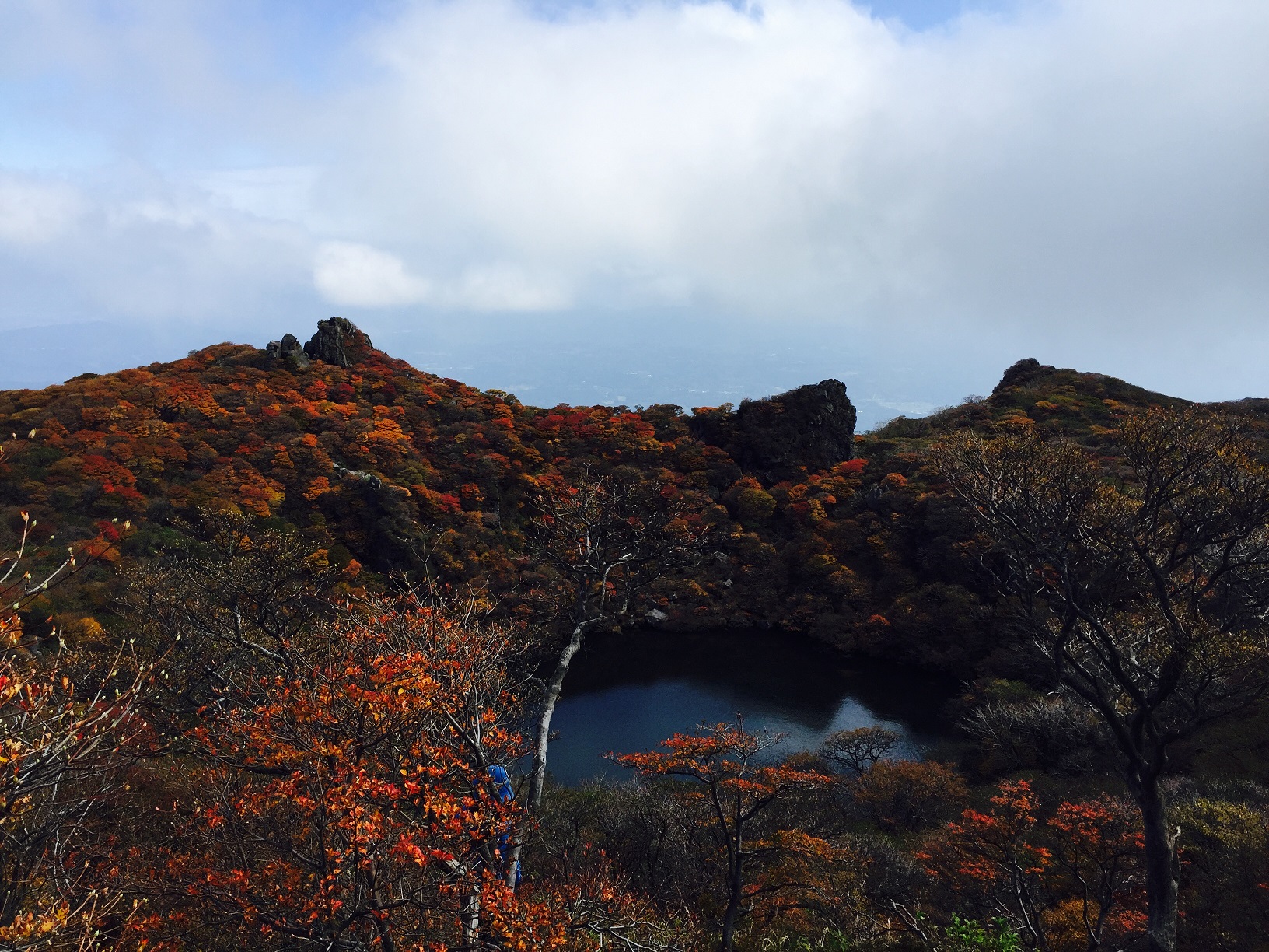 紅葉