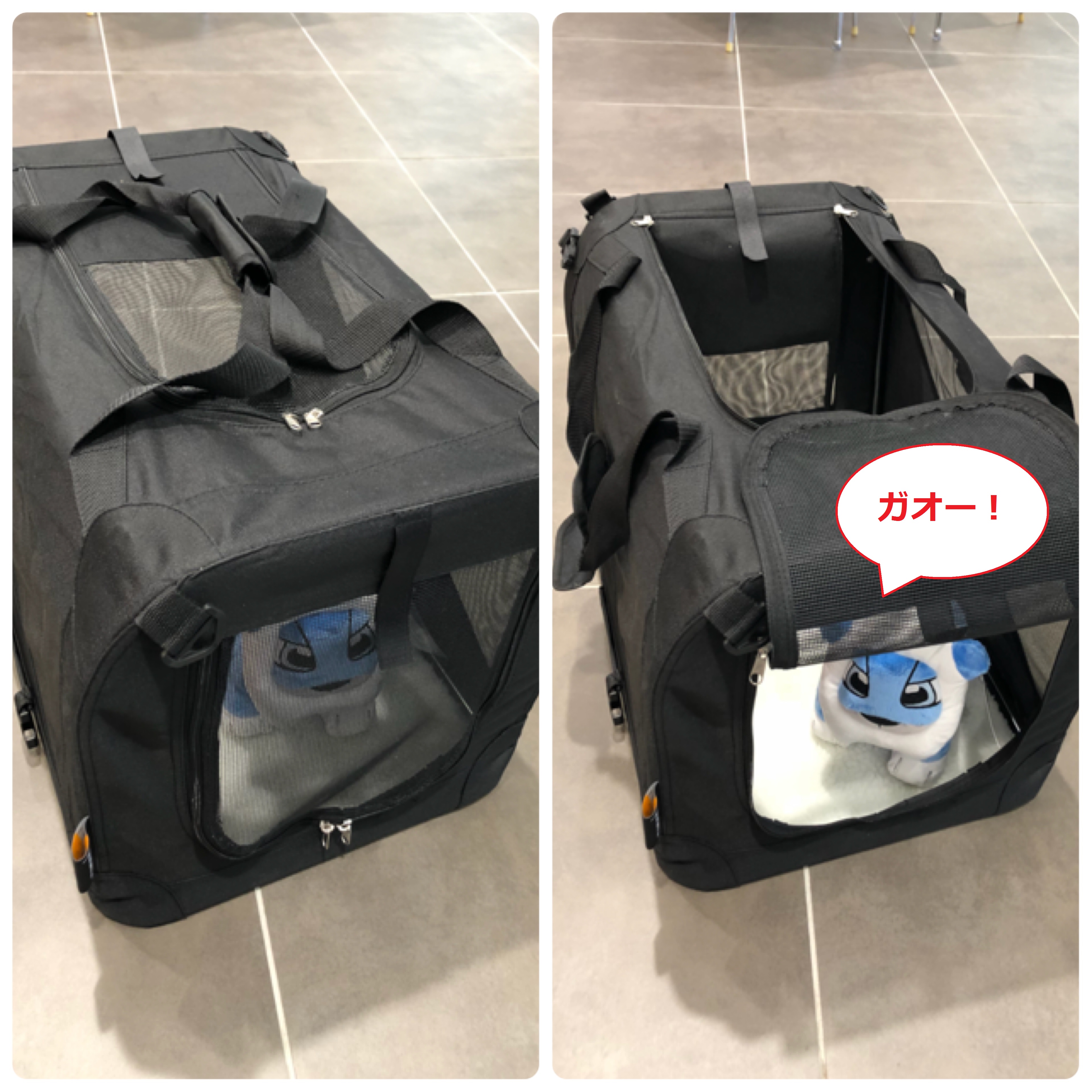 ピカソに付けたアクセサリーをご紹介♪
