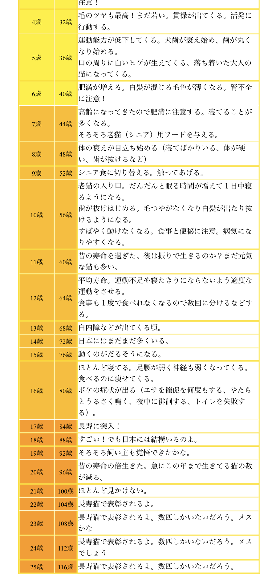 我が家のさくらちゃん