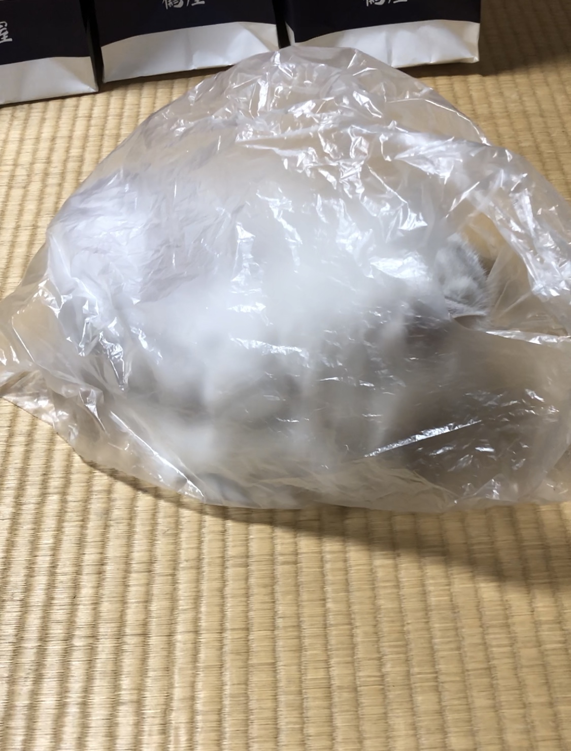 我が家のさくらちゃん