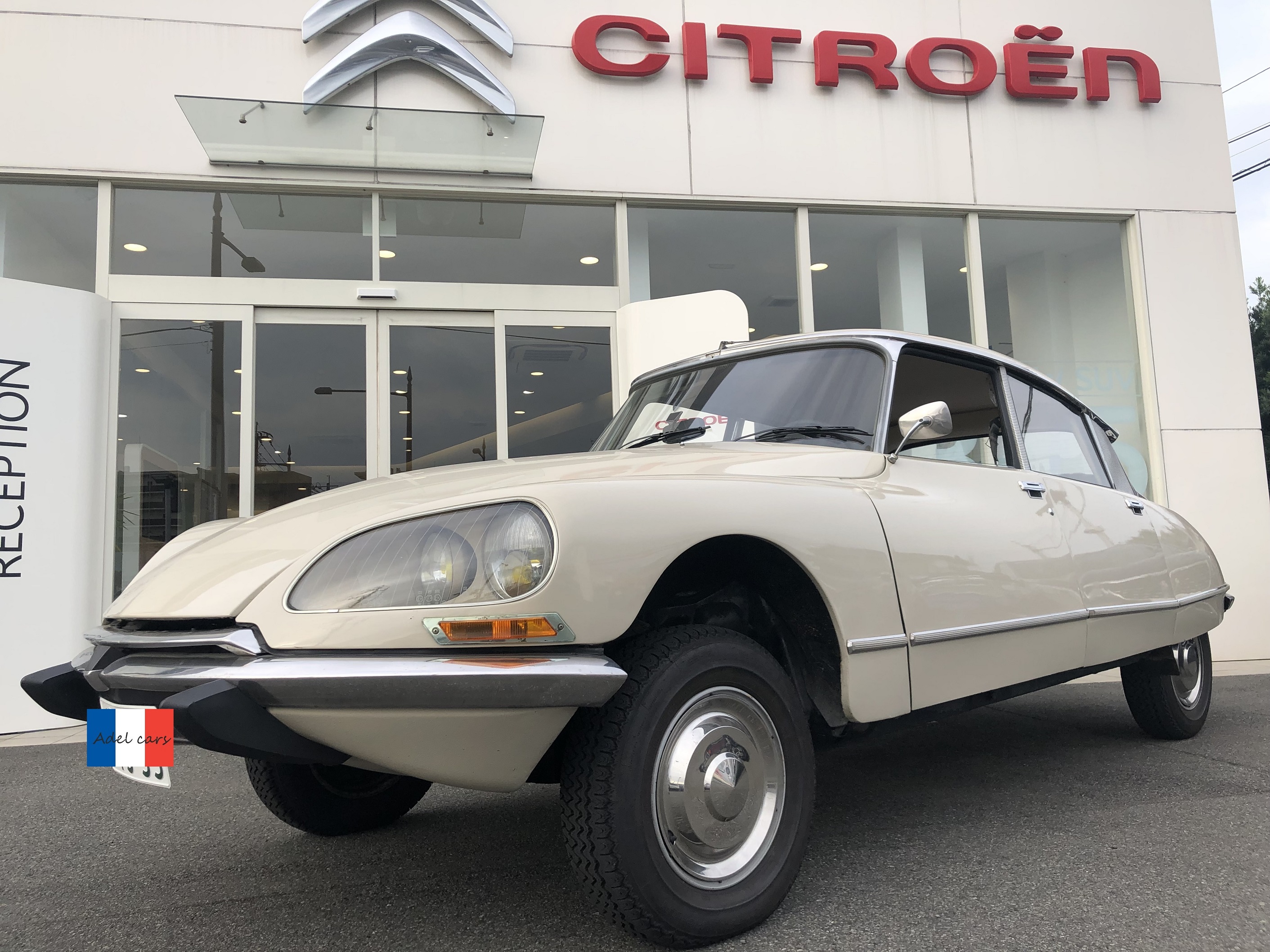 アデルコレクション　シトロエンの誇る名車DS