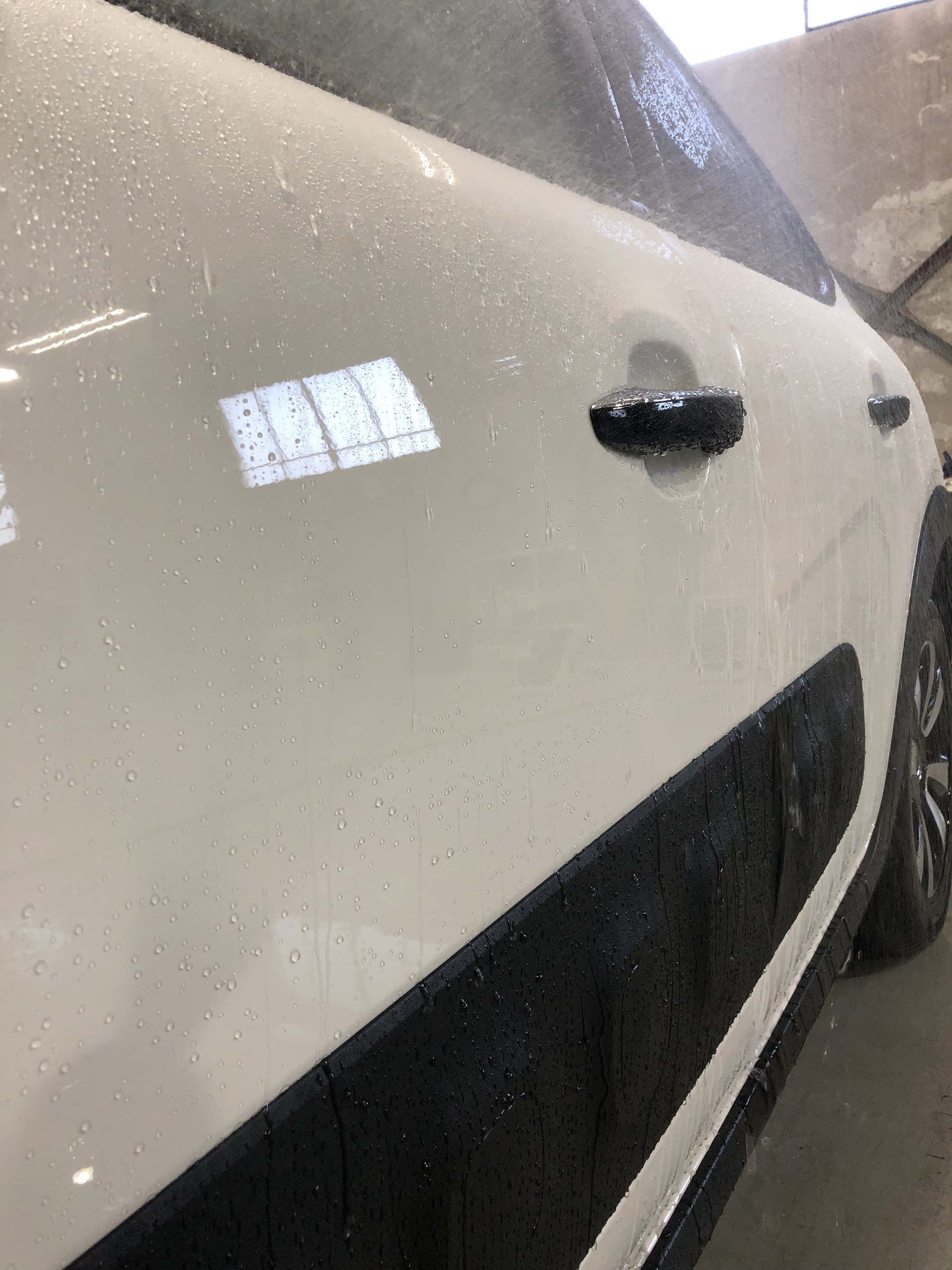 無料洗車点検のご紹介