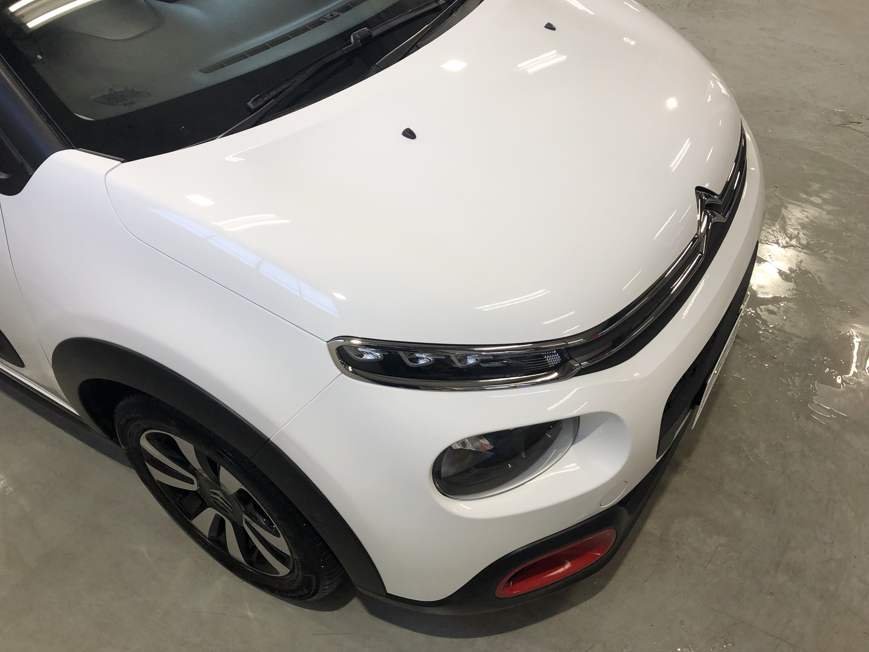 無料洗車点検のご紹介