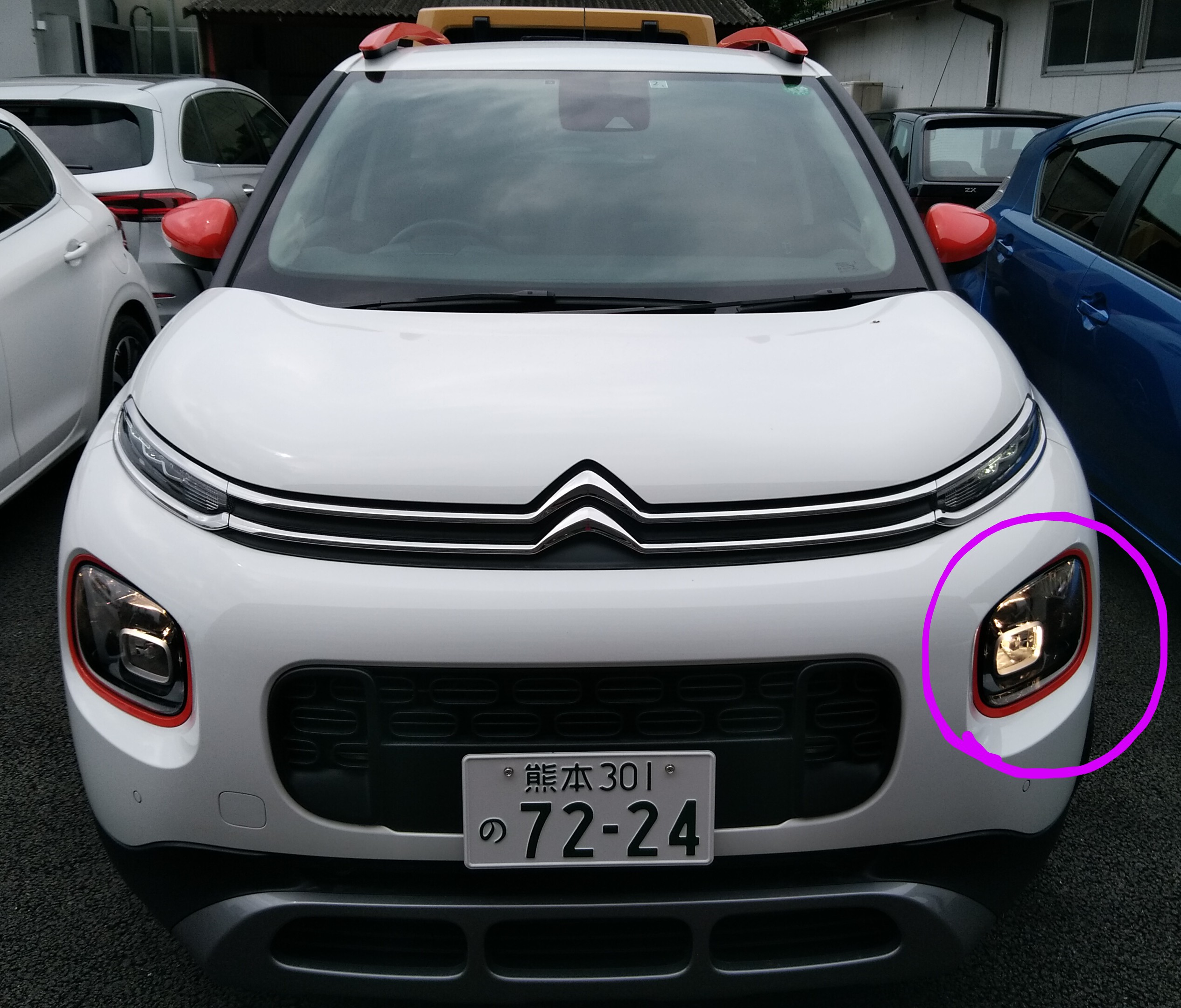 ウインク頂きました！