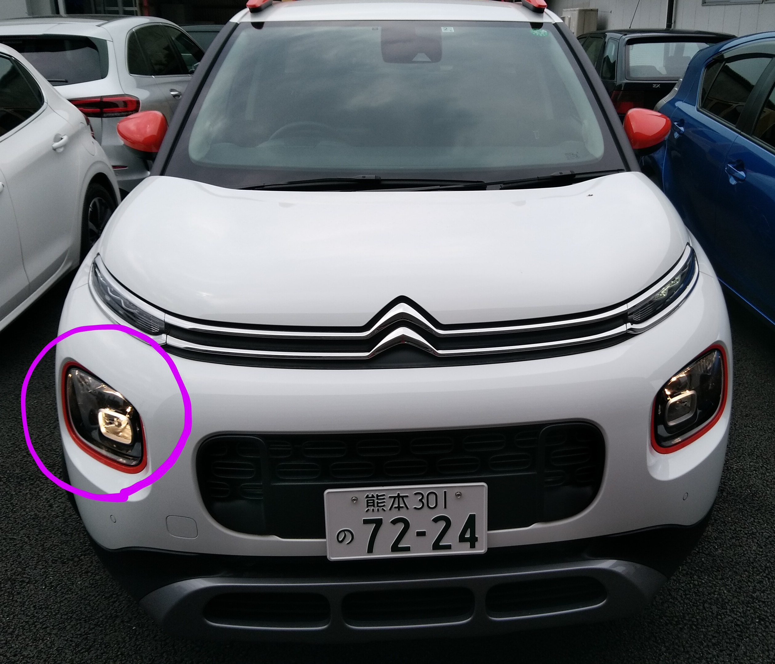 ウインク頂きました！
