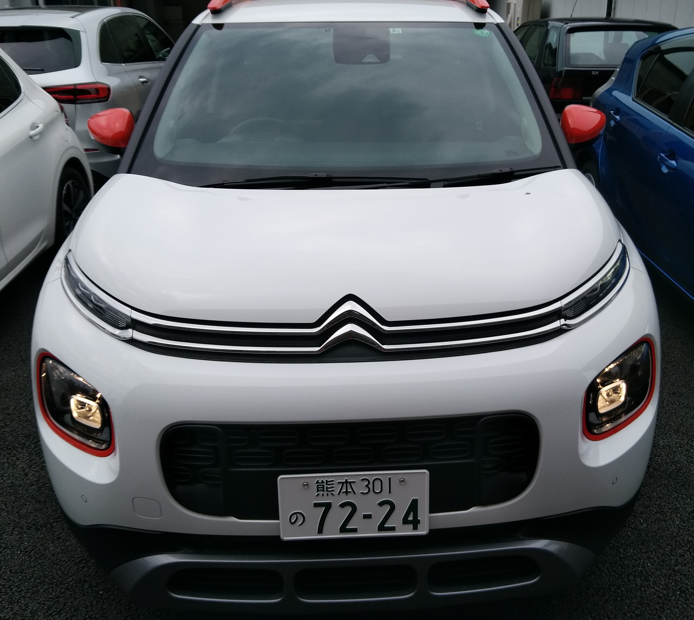 ウインク頂きました！