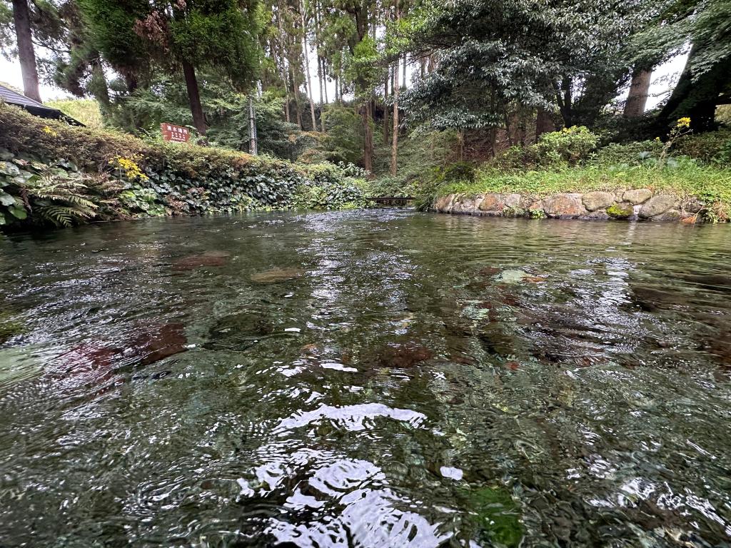 水源巡り