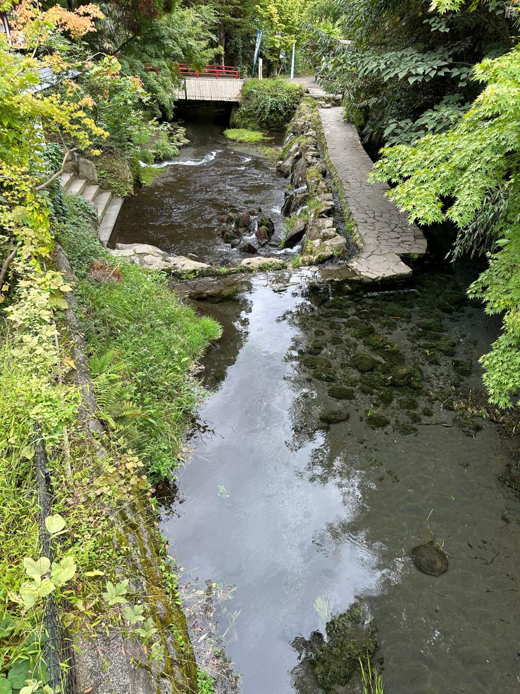 水源巡り