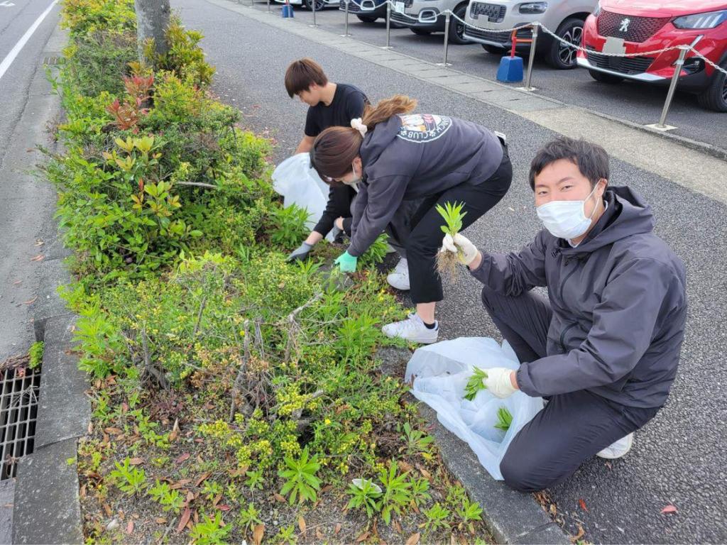 当社周辺施設の草むしりをしました🍃✨