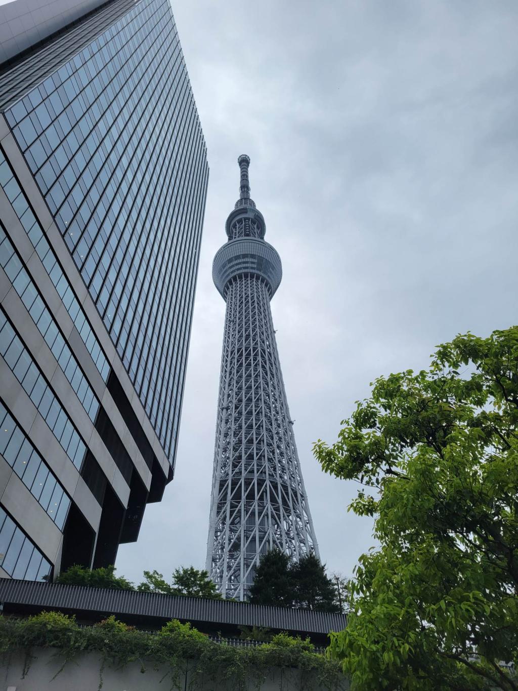 締めはスカイツリー