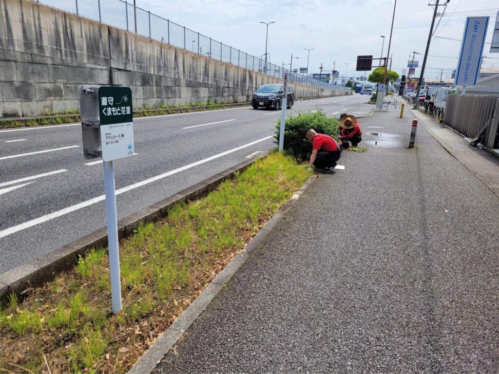 アデル・カーズの道守