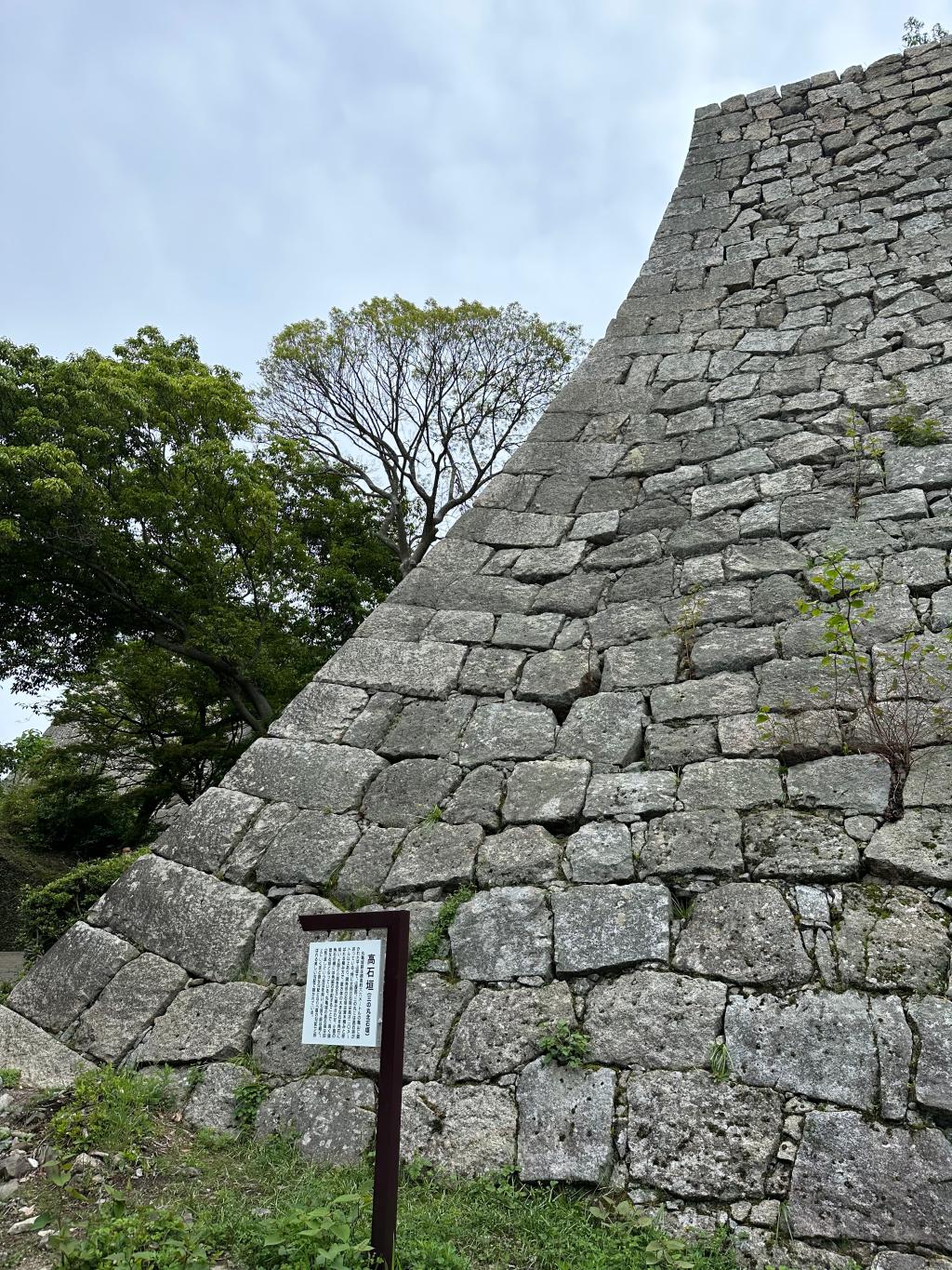 熊本城と丸亀城