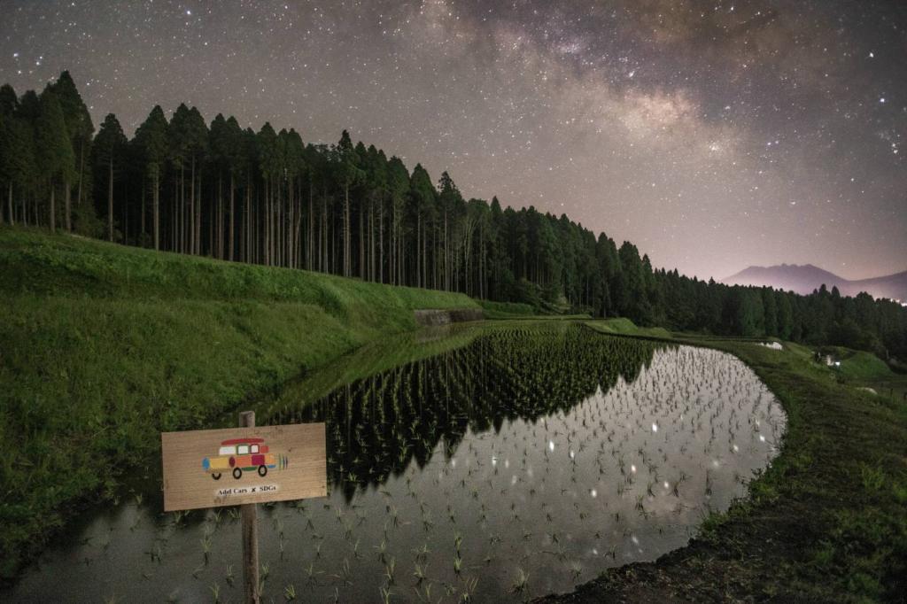 田植え後の・・・