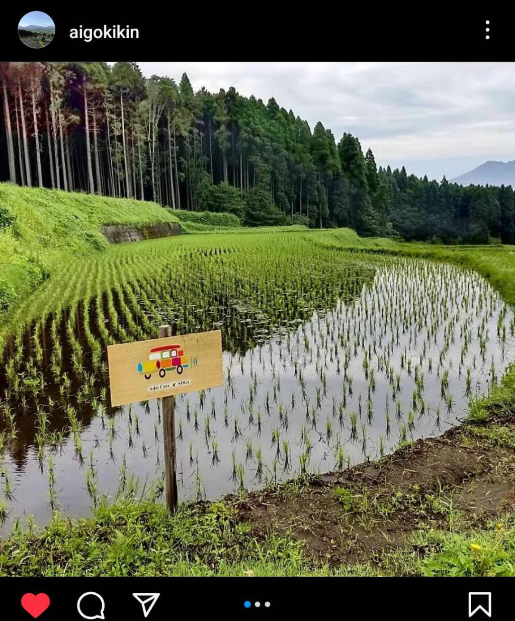 田植え後の・・・